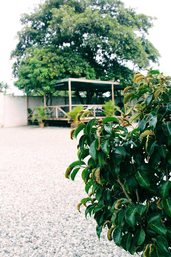 Citi Serviced Apartments & Motel - Lagatoi Place Port Moresby Ngoại thất bức ảnh